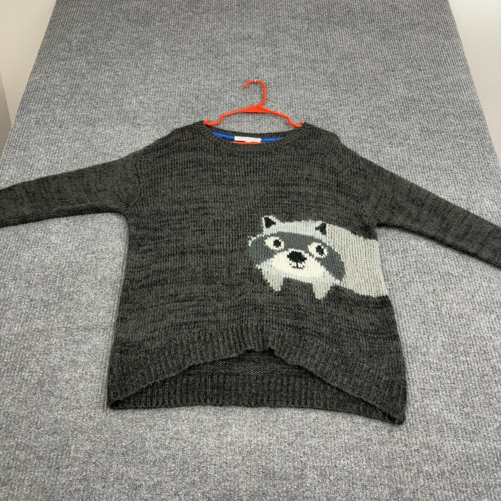 Jolt Sweater Womens XL Grey Acrylic Raccoon Animal Graphic Knit Whimsical Indie
